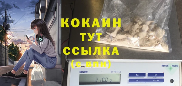 PSILOCYBIN Белоозёрский