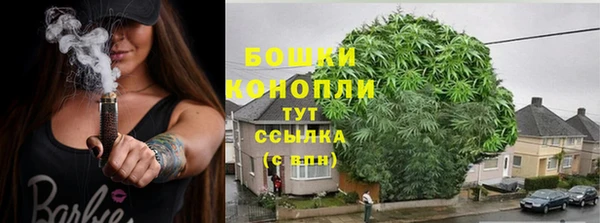 PSILOCYBIN Белоозёрский
